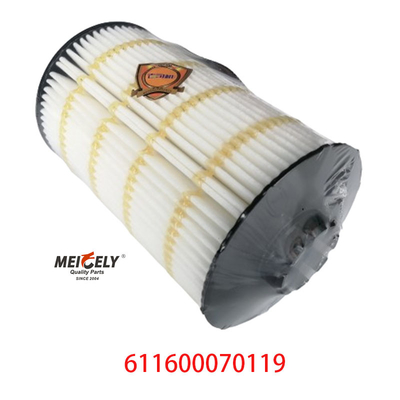 Elemen Filter Minyak Grosir Saham 611600070119 Untuk Weichai WP7