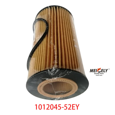 Filter Minyak OEM 1012045-52EY Untuk FAW Dachai Deutz
