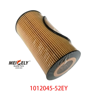 Filter Minyak OEM 1012045-52EY Untuk FAW Dachai Deutz
