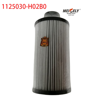 1125030-H02B0 Bagian truk Filter bahan bakar untuk Dongfeng Tianlong