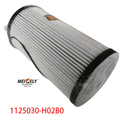 1125030-H02B0 Bagian truk Filter bahan bakar untuk Dongfeng Tianlong