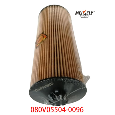 Stok OEM 080V05504-0096 Untuk SINOTRUK Howo T5G Truck Oil Filter
