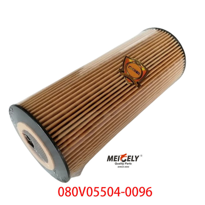 Stok OEM 080V05504-0096 Untuk SINOTRUK Howo T5G Truck Oil Filter