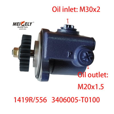Blade Pump 1419R/556 DONGFENG RENAULT Power Steering Pump