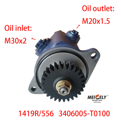 Blade Pump 1419R/556 DONGFENG RENAULT Power Steering Pump
