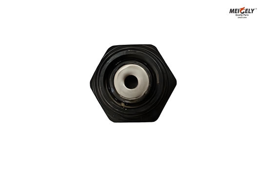 Fuso And Canter ME012586 Bolt Oil Jet Valve Untuk Semua Model