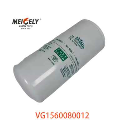 VG1560080012 Filter bahan bakar 20805349 Untuk SINOTRUK CNHTC HOWO