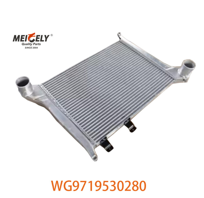 OEM WG9719530280 Untuk Howo Intercooler Assembly WG9719530281