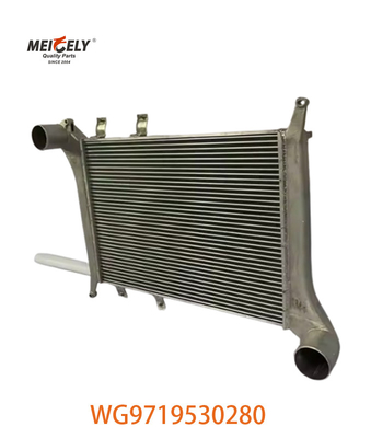 OEM WG9719530280 Untuk Howo Intercooler Assembly WG9719530281