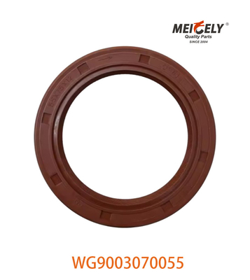 WG9003070055 Oil Seal PS55X75X12 Sesuai untuk SINOTRUK CNHTC HOWO