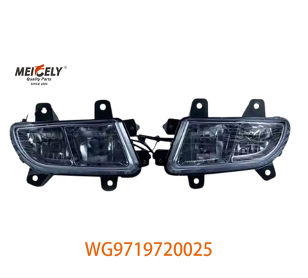 Sinotruk Howo Mesin Truk Tugas Berat Lampu Kelompok WG9719720025 WG9719720001