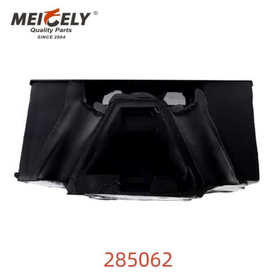 OEM 285062 Mounting Mesin Belakang Kualitas Tinggi Untuk DAF-676331