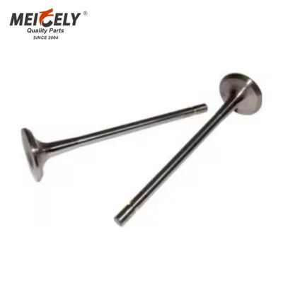 Katup Mesin Berkualitas Tinggi C7.IN D6E.EX CI3.EX Katup Masuk Katup Buang Untuk Mesin Rekayasa